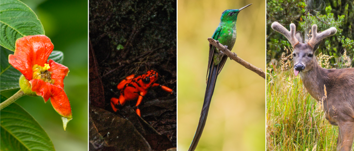 Colombia el segundo país más biodiverso del mundo