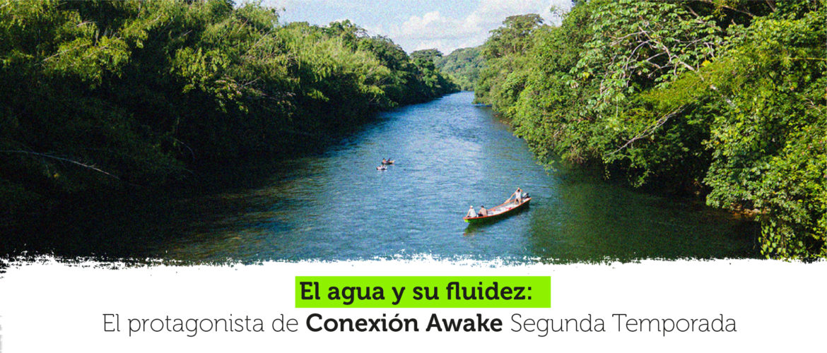 El Agua Y Su Fluidez El Protagonista De Conexion Awake Segunda Temporada Awake