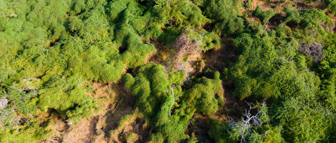 Nuestro aporte - Reporte Cambio Climático