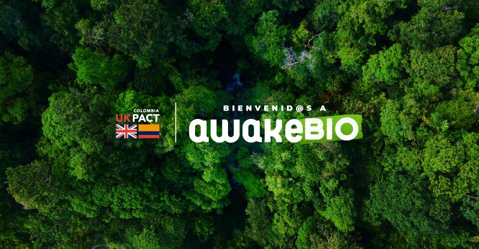 AwakeBIO: cómo sumar acciones para la conservación de la biodiversidad