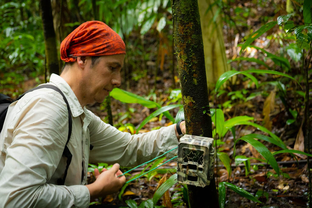 Ubicación de cámara trampa para monitoreo de especies en Colombia
