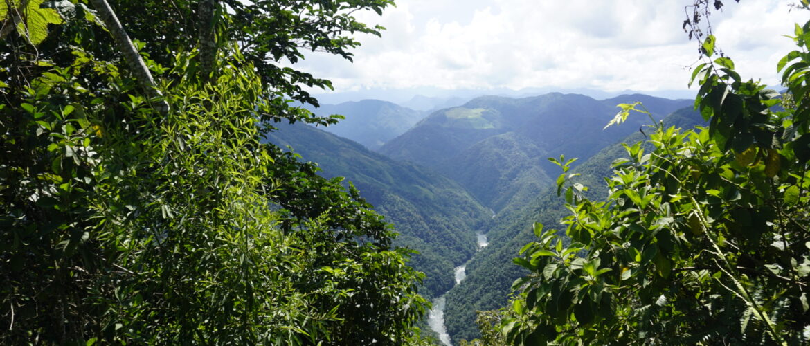 Cuenca del río Samaná: dónde queda y por qué visitar esta región