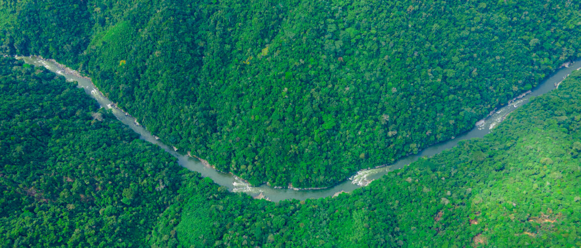 Río Samaná Norte: ¿Sabías que este es el último río libre?