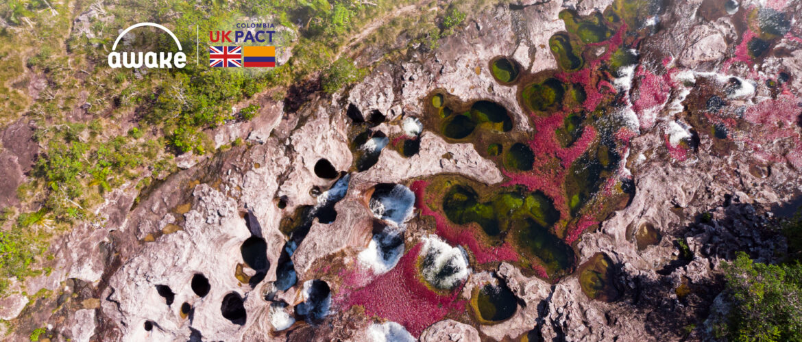 ¿Ya conoces la Serranía de la Macarena? ¡Descubre este parque natural!