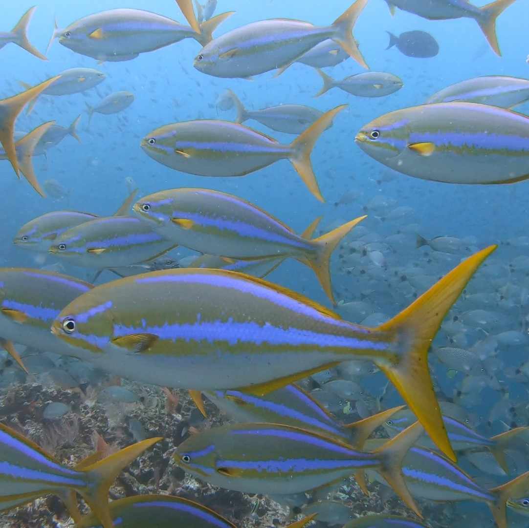 ABCTUR Colombia | ABCTUR Colombia