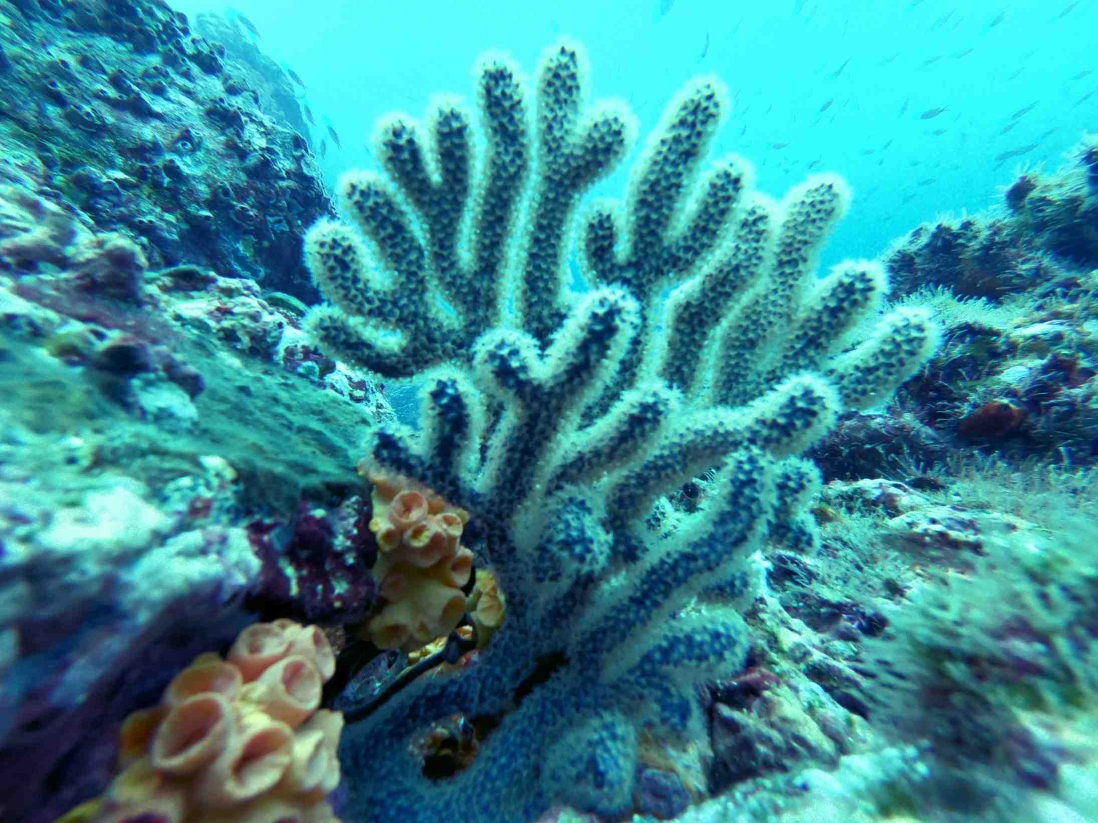 ABCTUR Colombia | ABCTUR Colombia