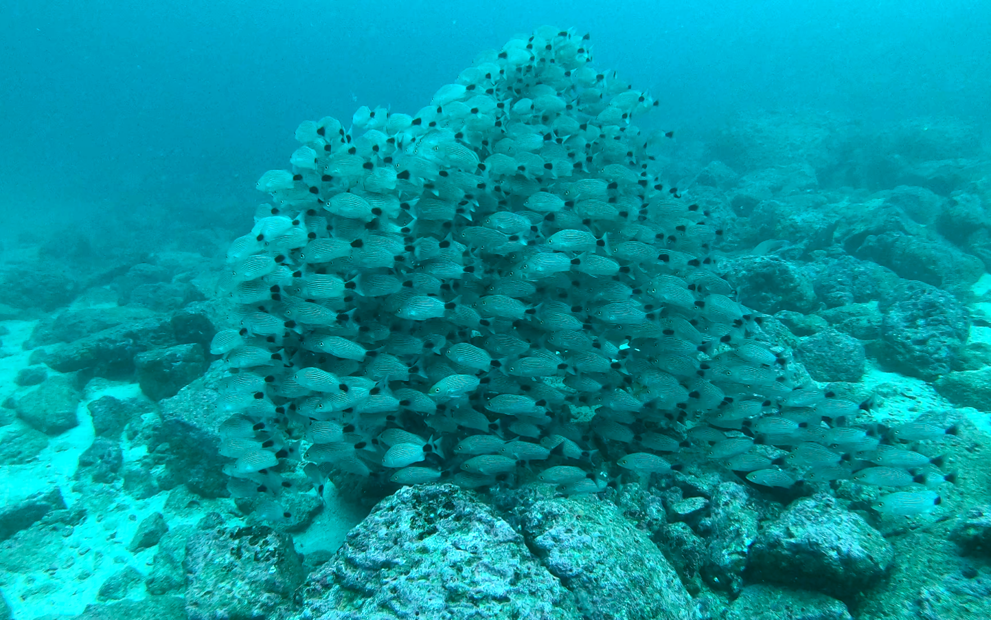 Awake Travel | Viajes de naturaleza