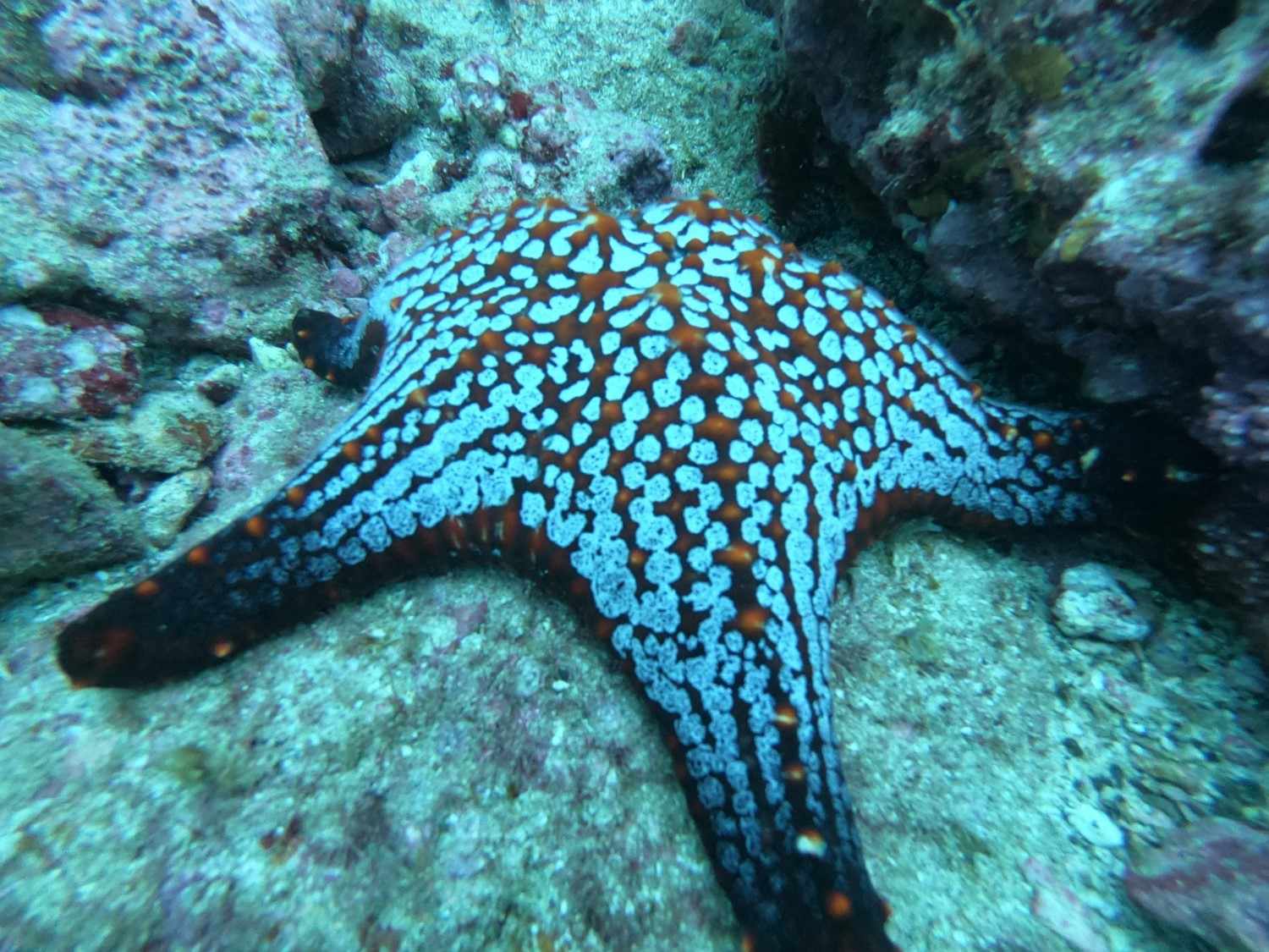 Awake Travel | Viajes de naturaleza