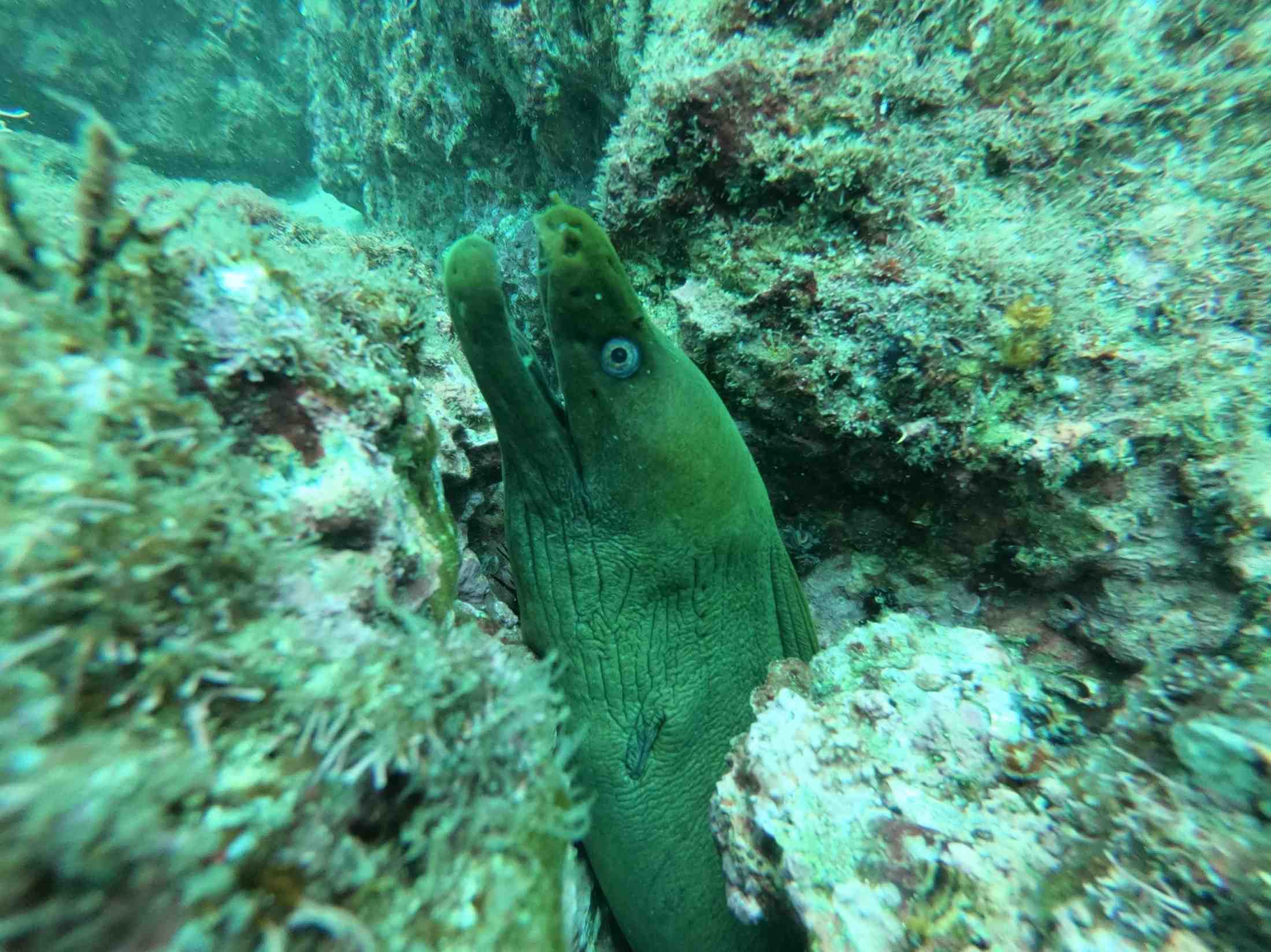 Awake Travel | Viajes de naturaleza