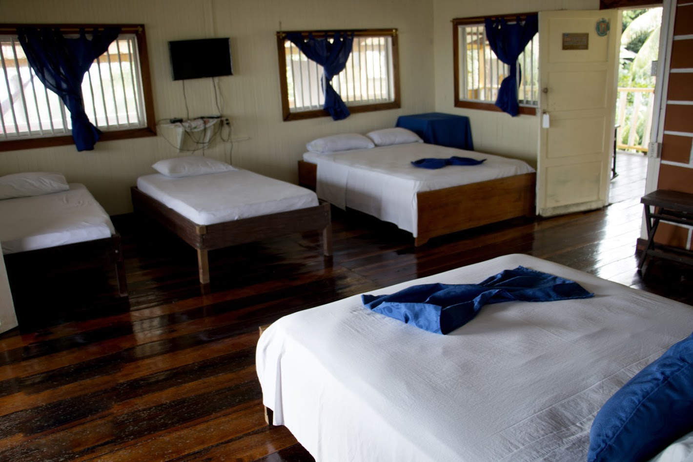 Awake Travel | Viajes de naturaleza