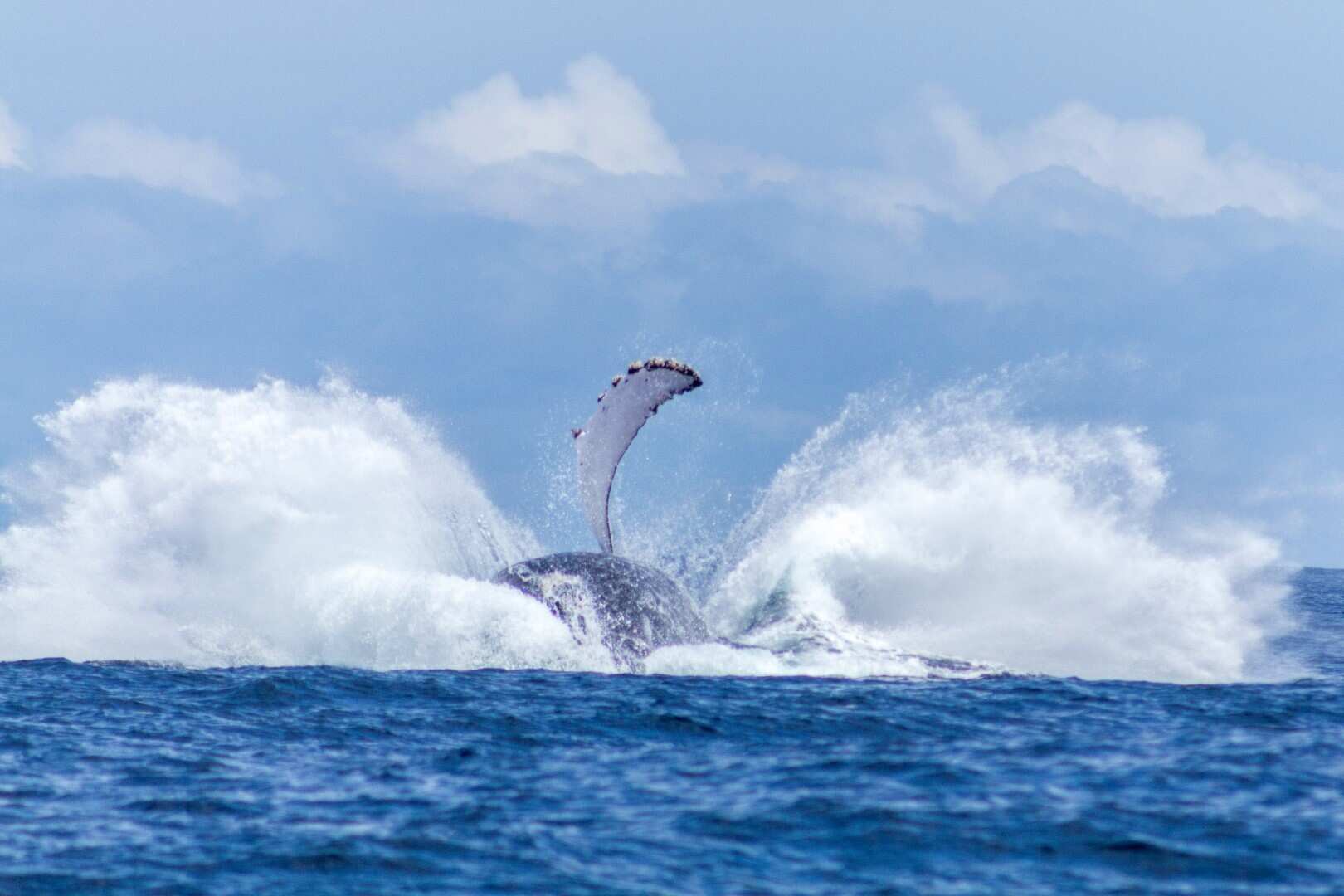Organización Turismo VIP | Organización Turismo VIP