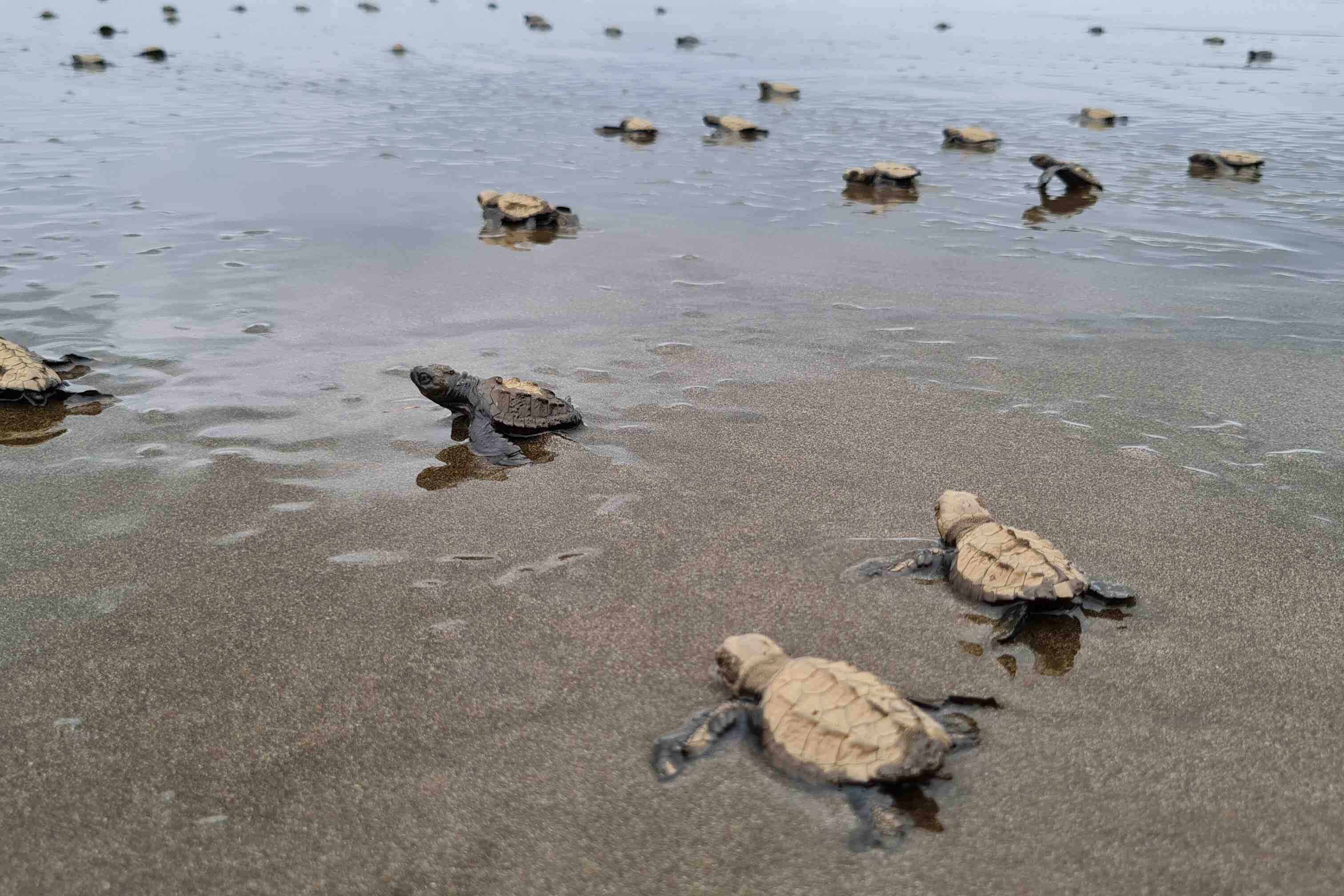 Awake Travel | Viajes de naturaleza