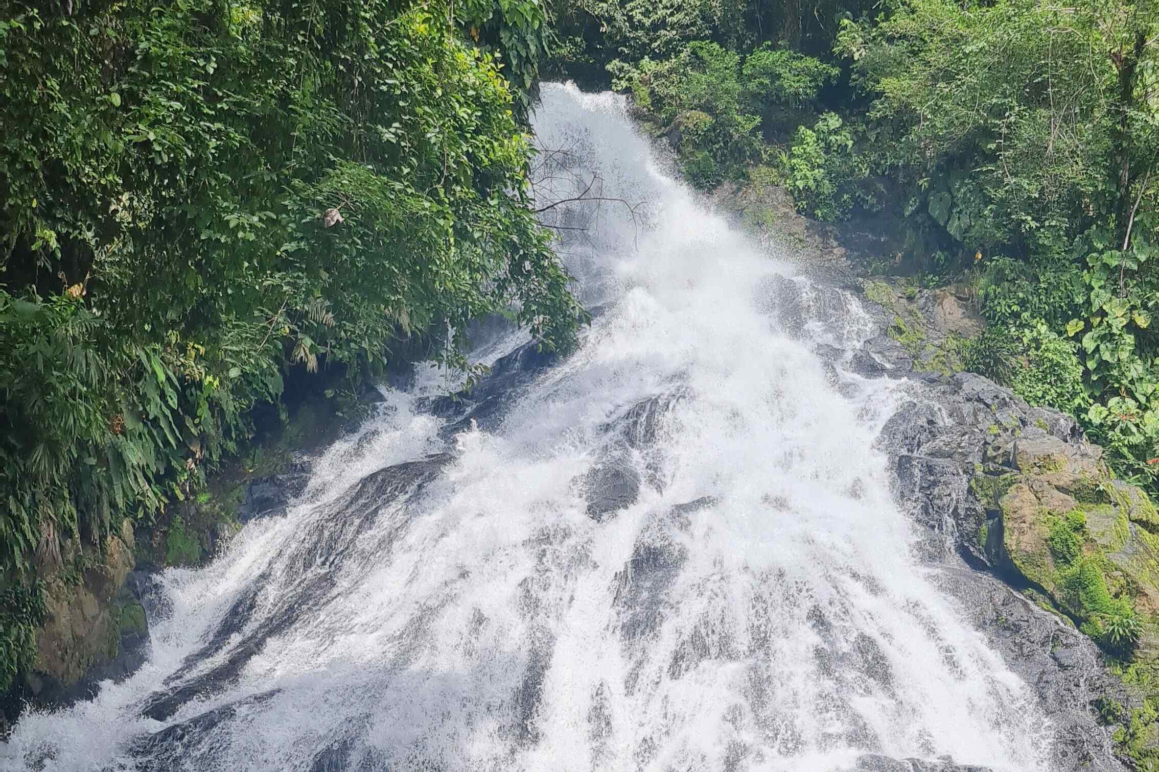 Awake Travel | Viajes de naturaleza