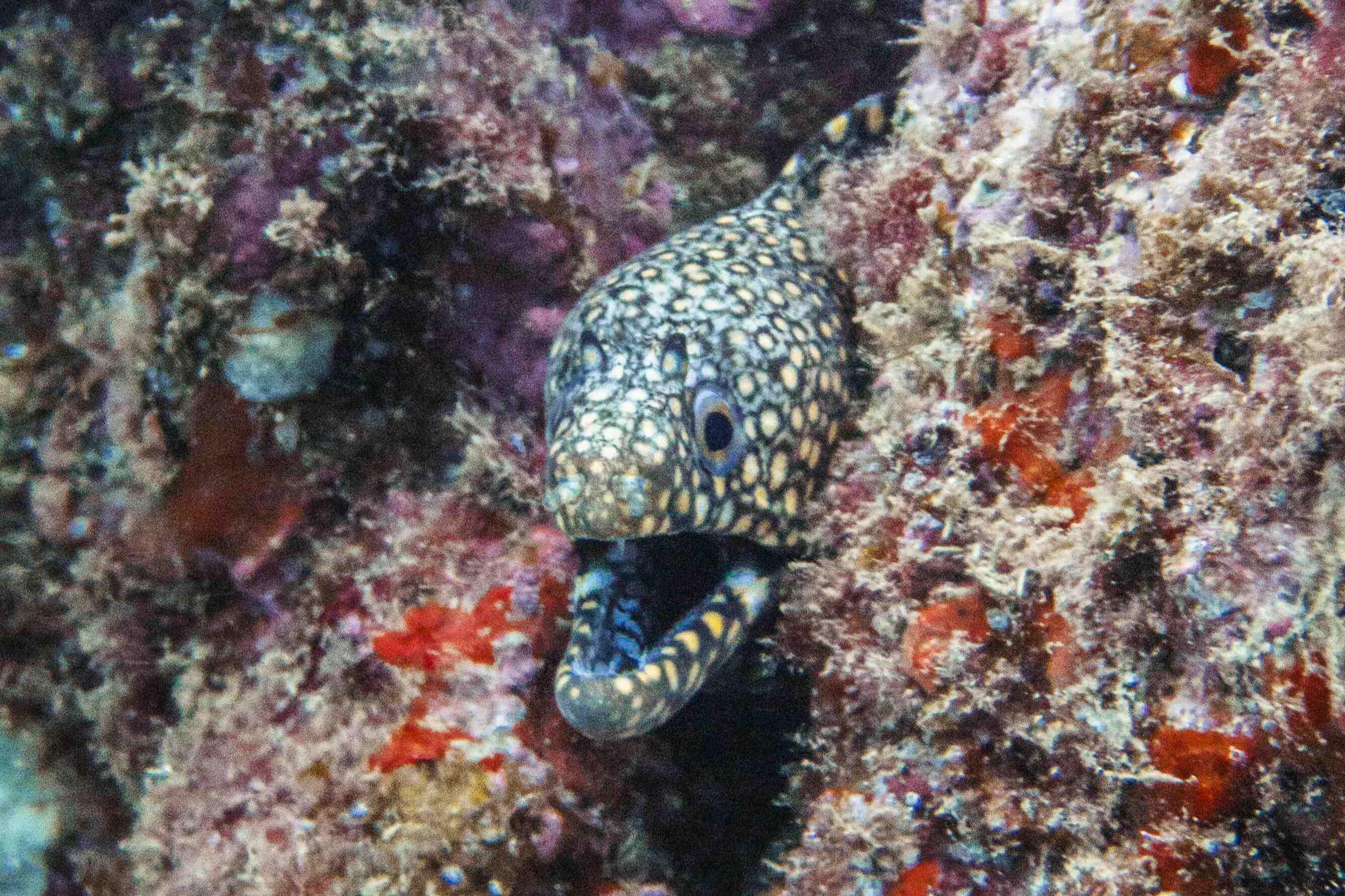 Awake Travel | Viajes de naturaleza