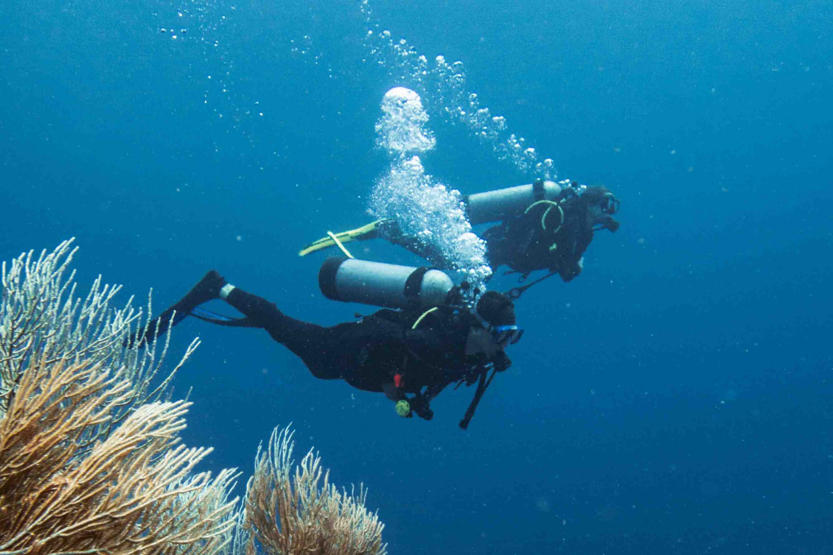 Awake Travel | Viajes de naturaleza