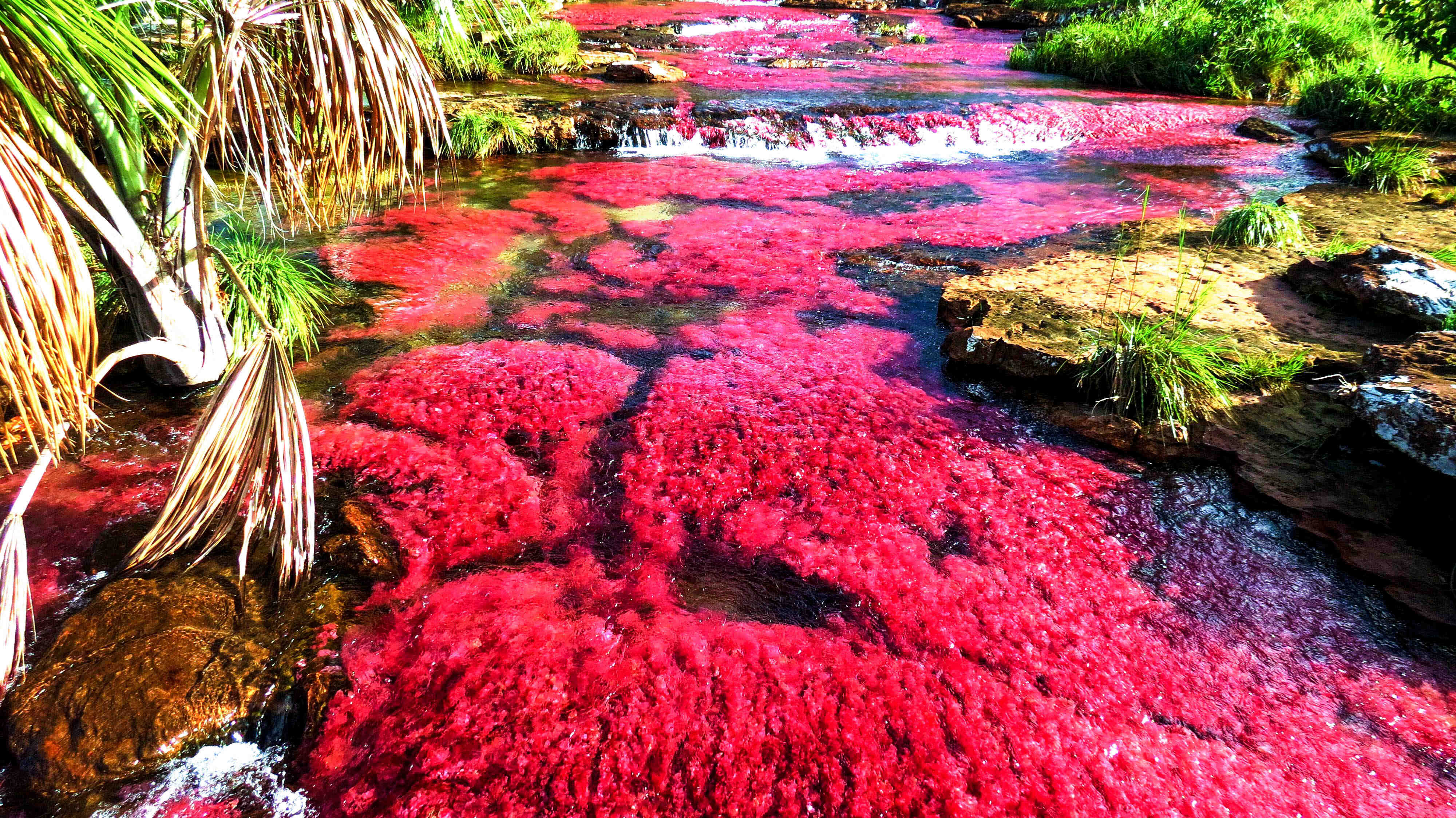 Awake Travel | Viajes de naturaleza