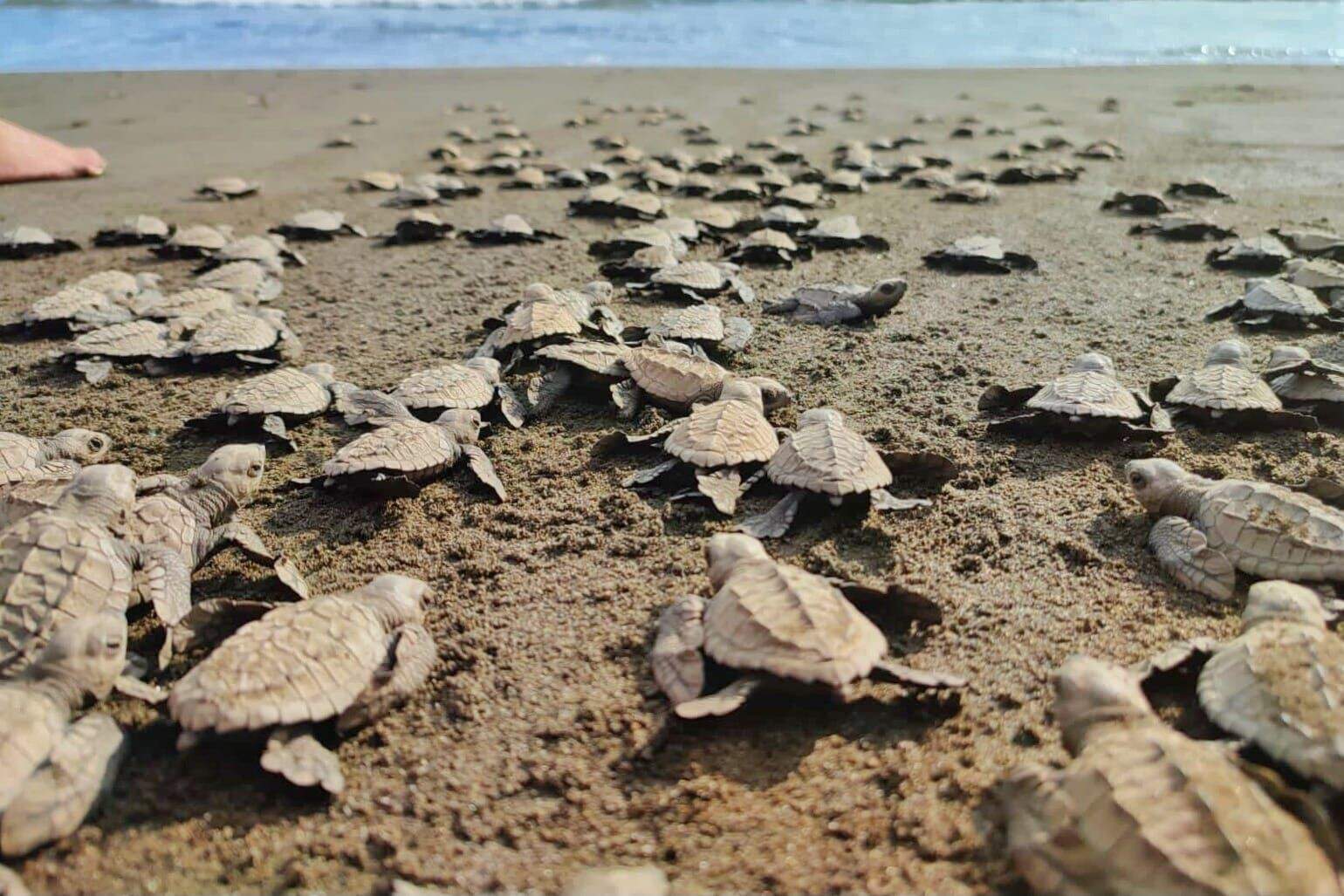 Awake Travel | Viajes de naturaleza