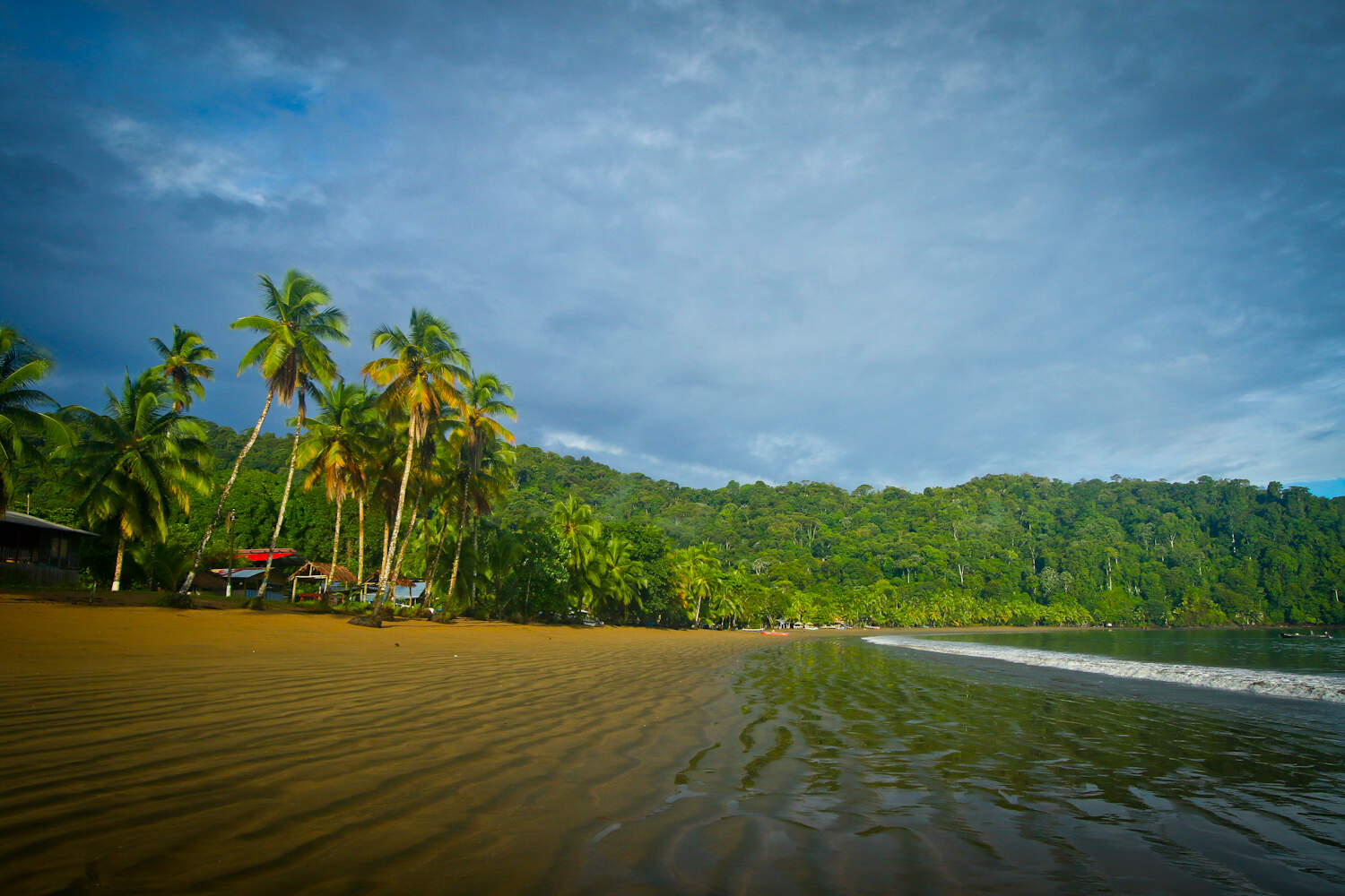 Awake Travel | Viajes de naturaleza