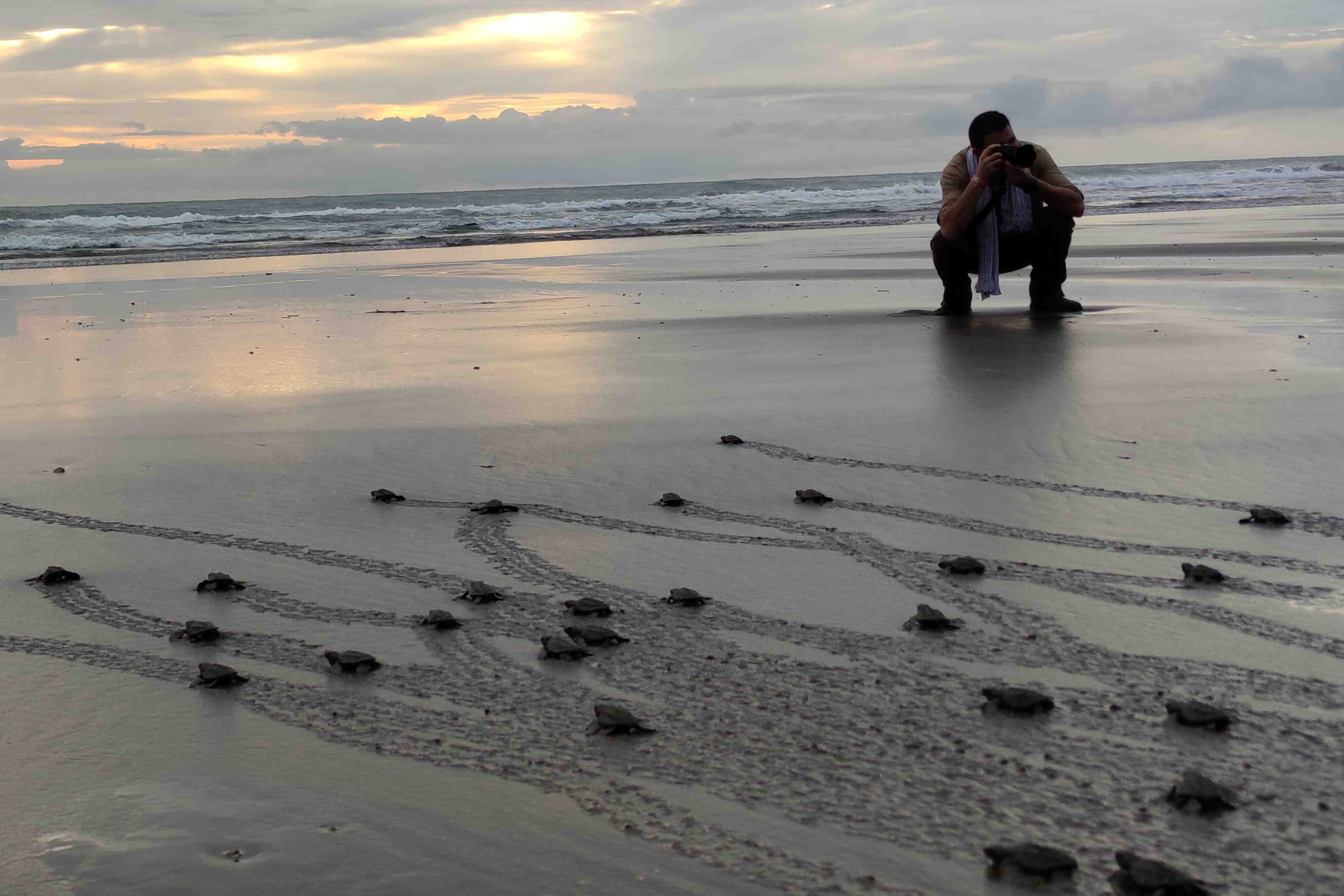 Awake Travel | Viajes de naturaleza